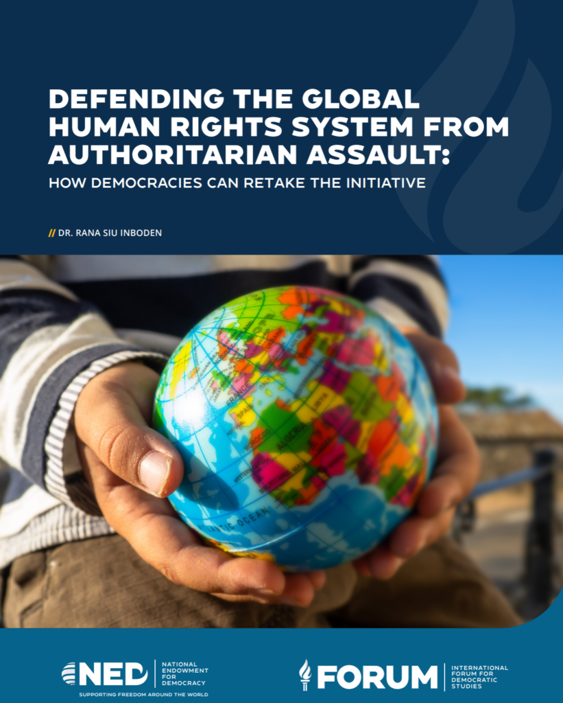 Autocrats subverting UN human rights system - Democracy Digest